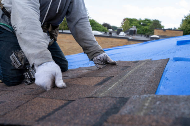 Best Commercial Roofing Services  in Seneca, KS